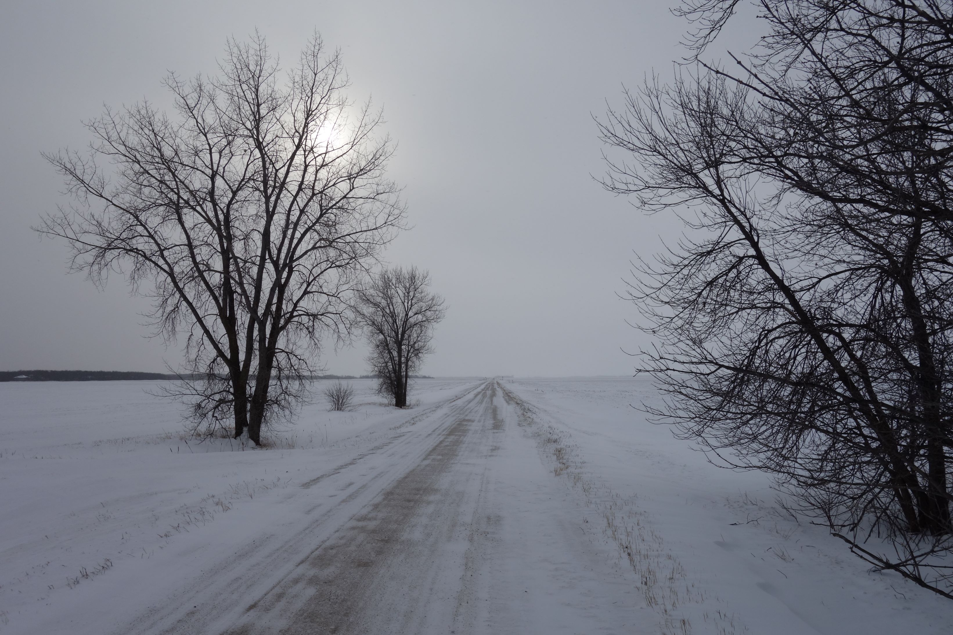South view from St. Pierre-Jolys